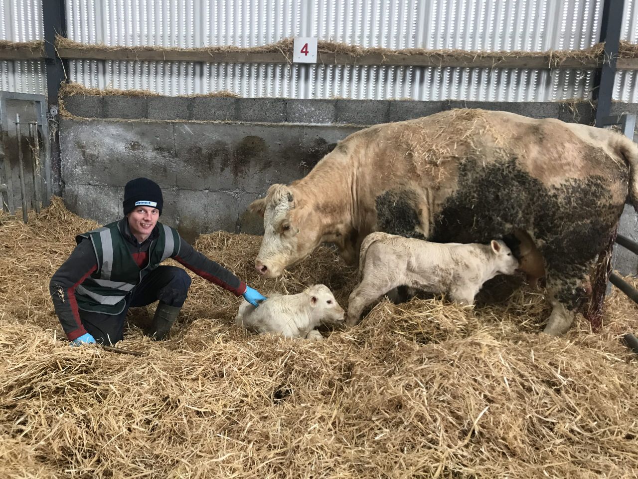 Heslin's agri ambition: 'My career will always come first'