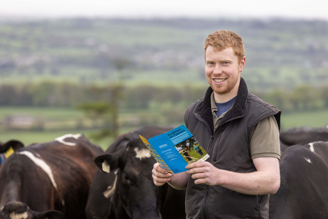 Bord Bia to work with HSE on farmer sun safety campaign