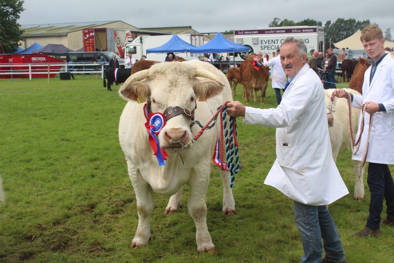 Ken Veitch, from Lisbellaw in Co Fermanagh, with his French-born Charolais champion at Omagh Show 2026