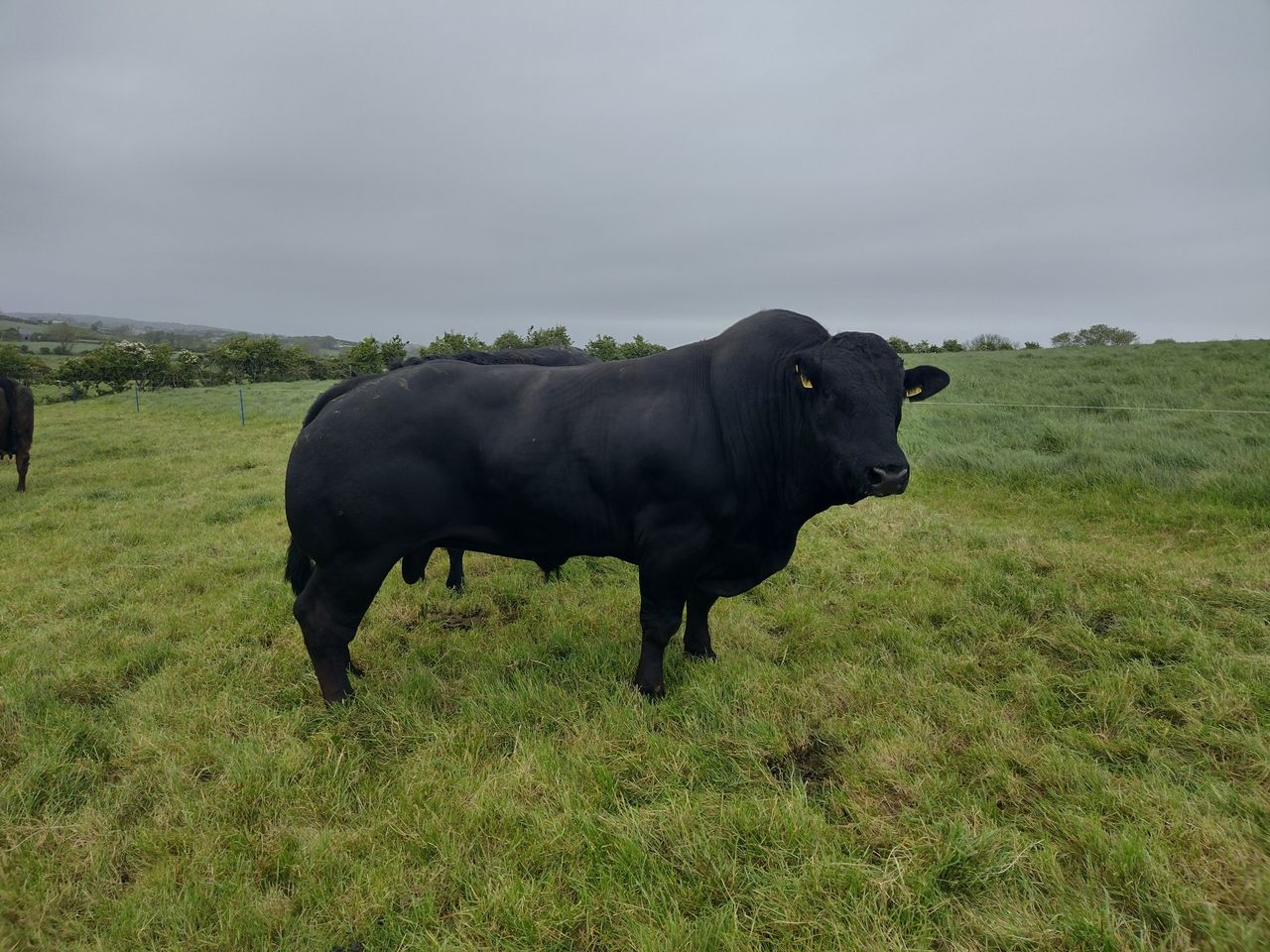 Think 'farm safety' as silage and breeding get underway