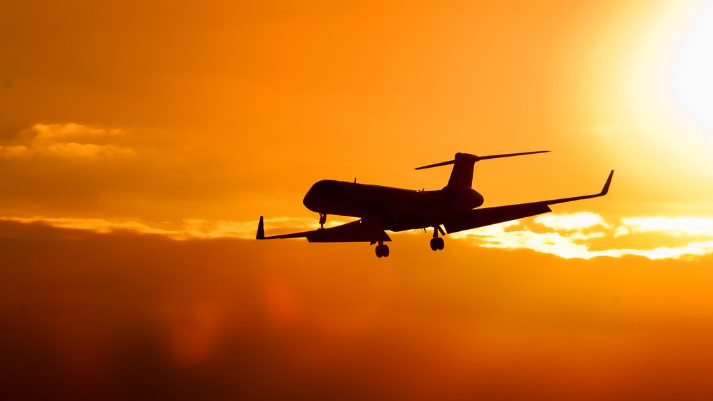 Fuel for airplanes: Is this the future of the Irish tillage sector?