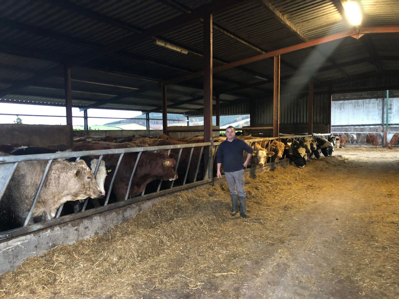 Beef Focus: Leasing 500ac and agri-contracting in Wicklow