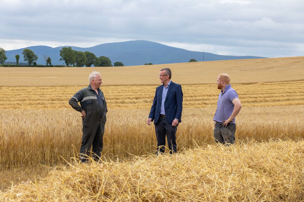 IFA calls on farmers and merchants to use Irish grain