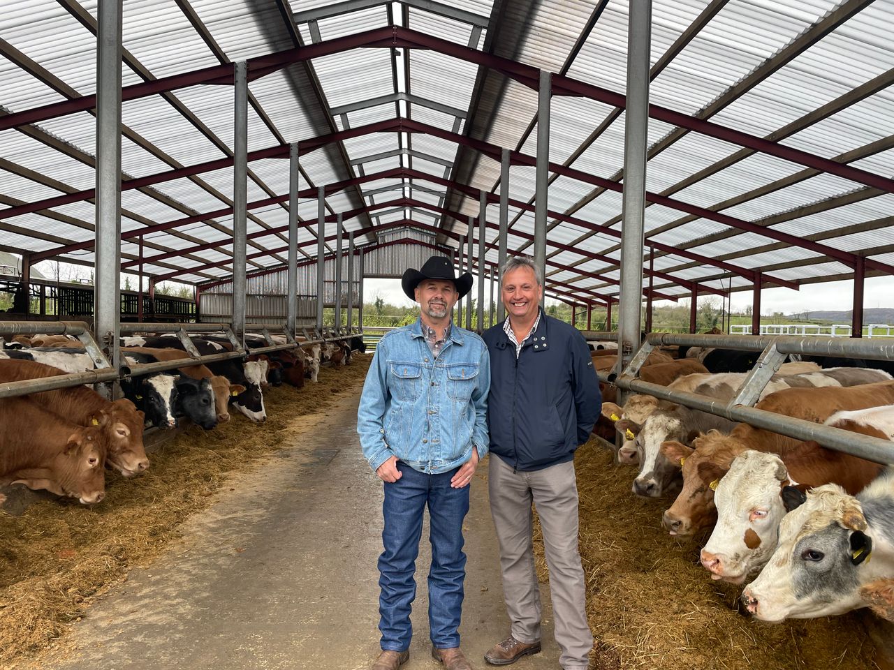 US cattle rancher shares views on cow size and age at first calving
