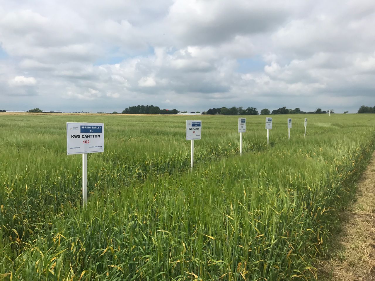 Recommended lists: What spring barley will you plant in 2020?