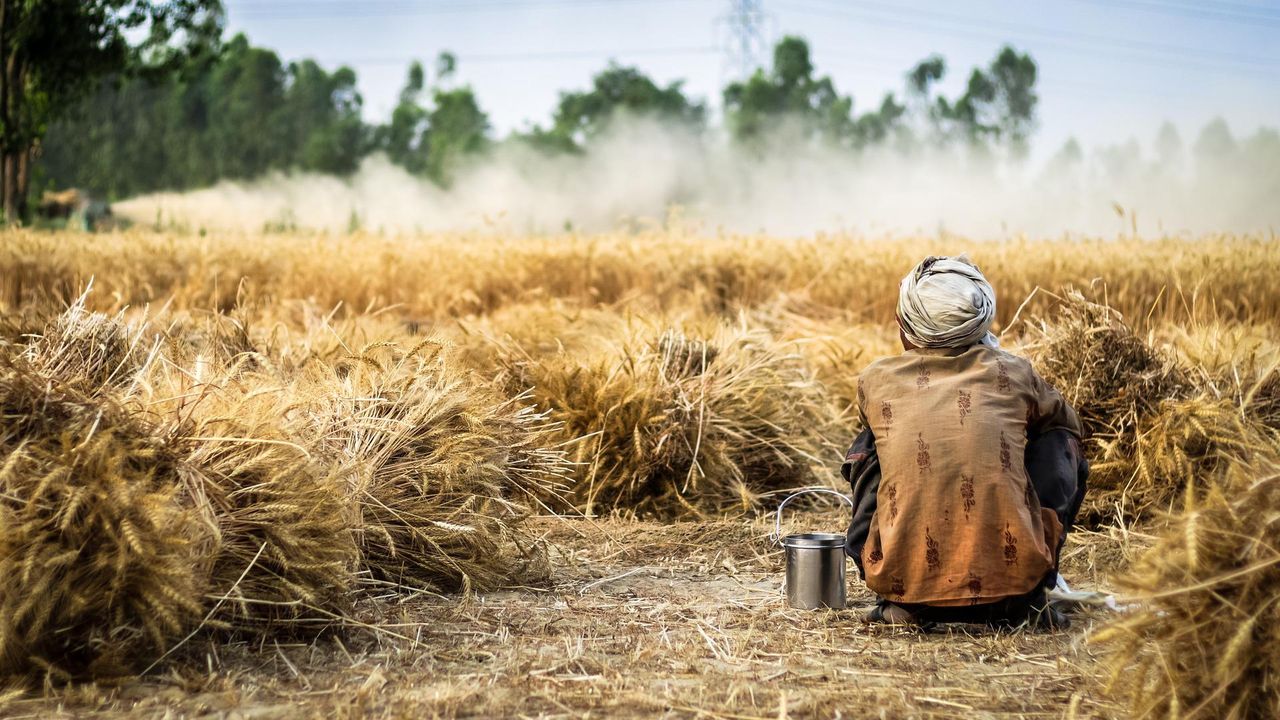 G7 nations must work together to reach global food security - FAO