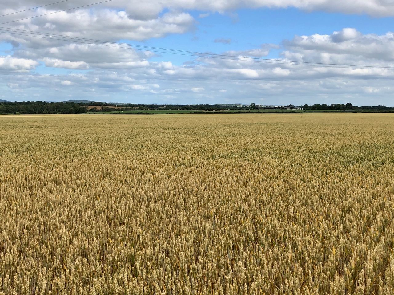76ac ‘Fontstown Series’ land with €6,500 in entitlements to go under the hammer