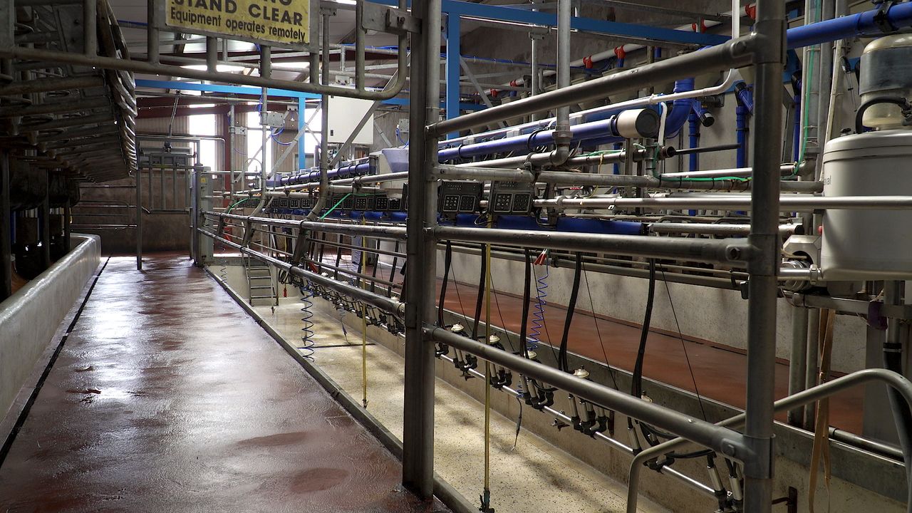 May milk intake rises 3.5% compared to same month last year
