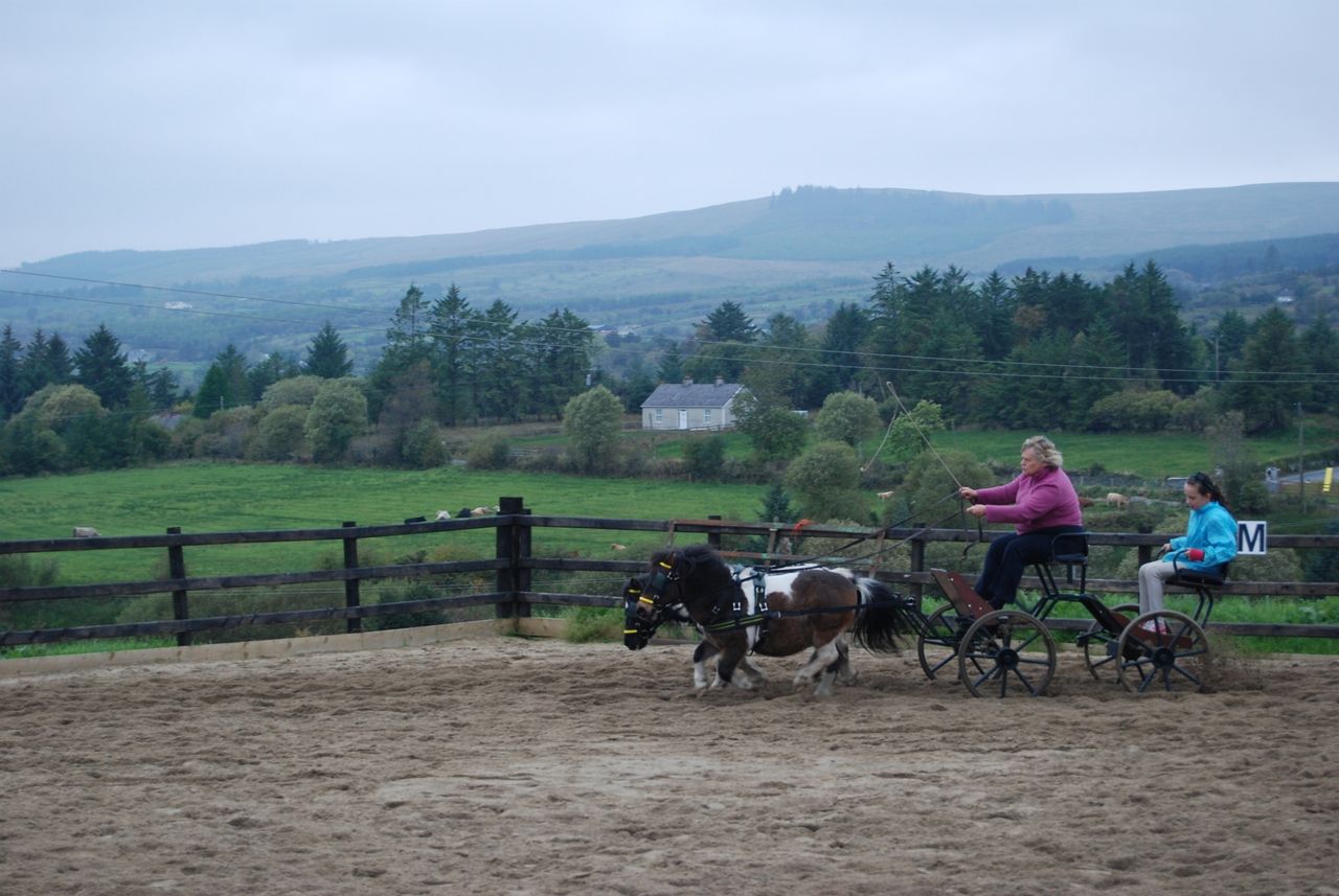 Corlough smallholding 'ideal' for self-sufficient Cavan lifestyle