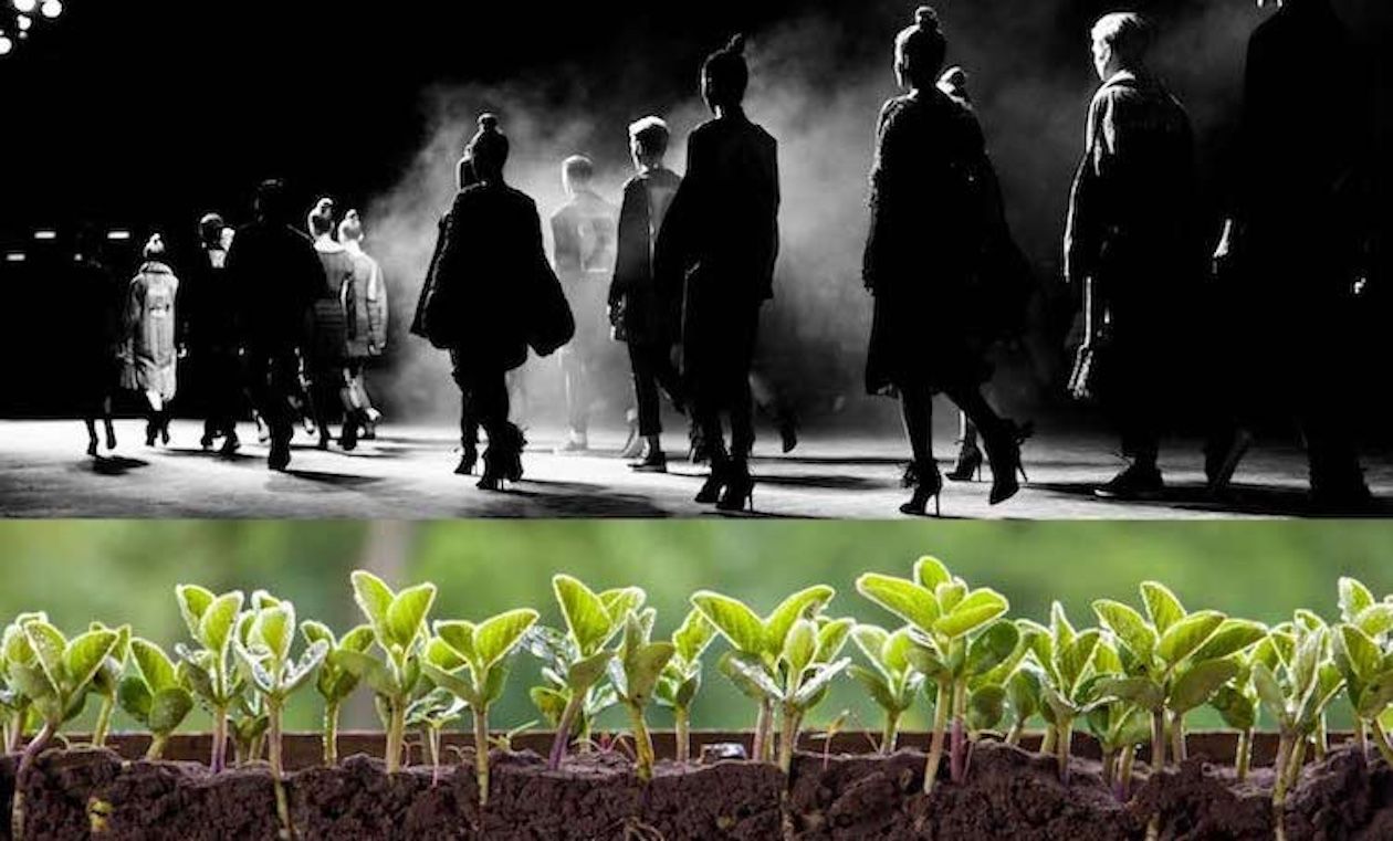 Kinsale gears up for Fashion &amp; Farming Festival