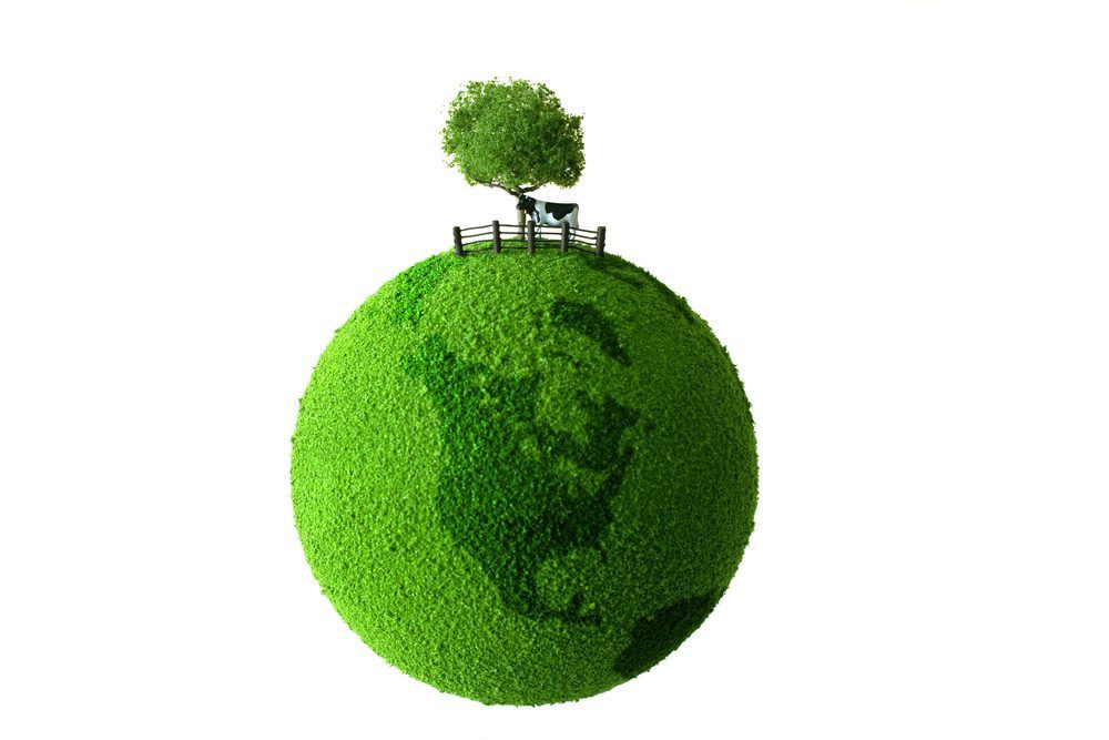 Anaerobic digestion an 'immediate GHG mitigation solution' - WBA