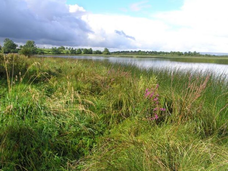 Agriculture the 'principal cause' of pollution in Lough Erne