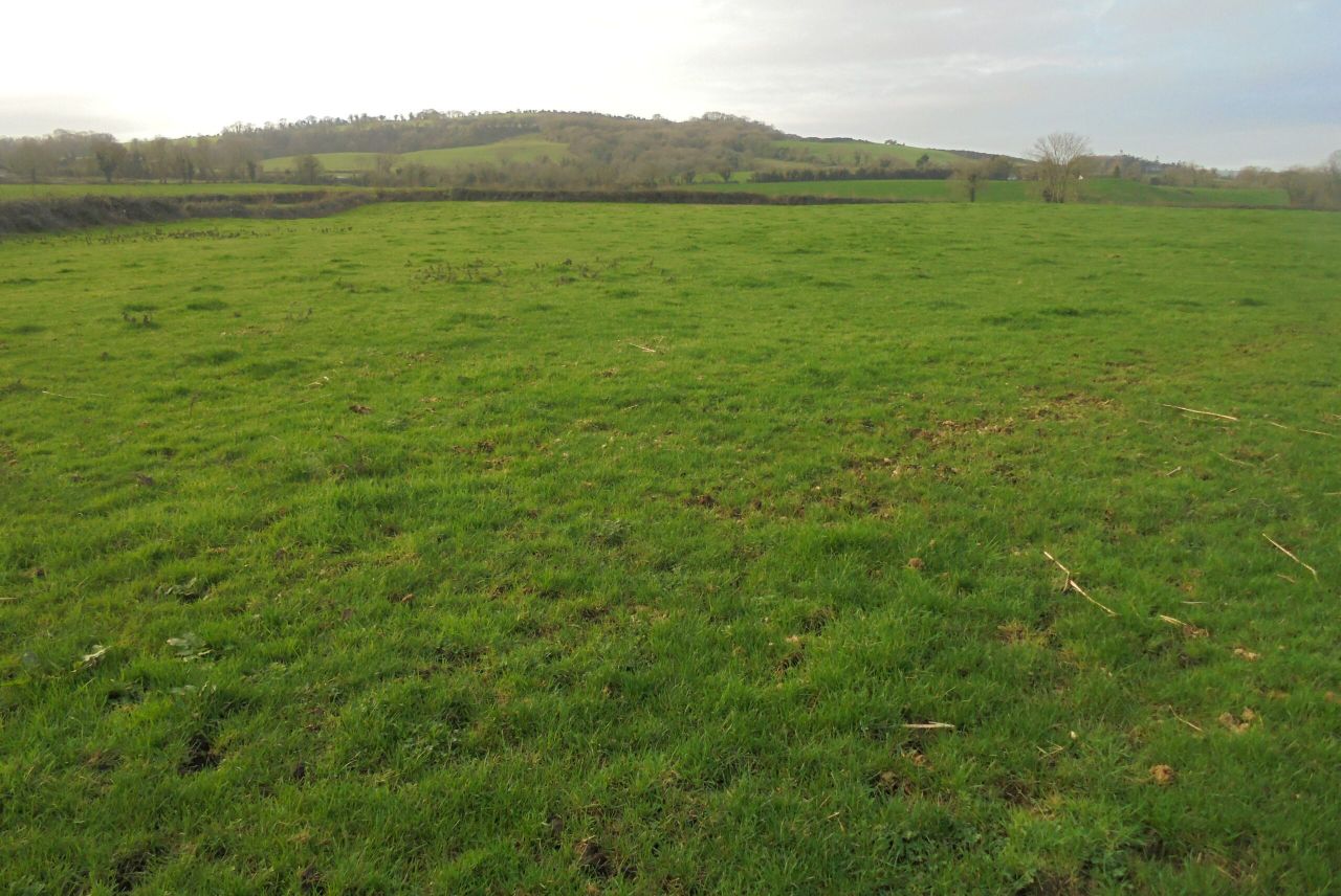 Top-quality agricultural land on 60ac available in 5 different fields
