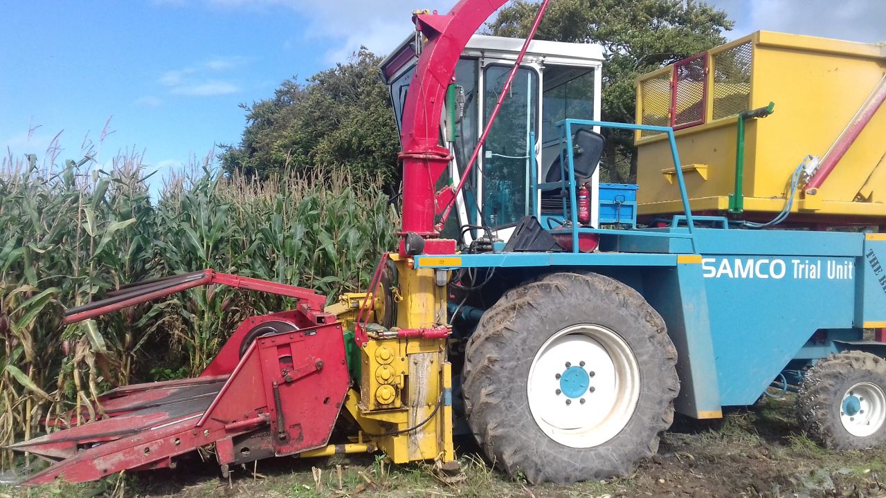 Maize harvest kicking into gear - in a north-bound trajectory