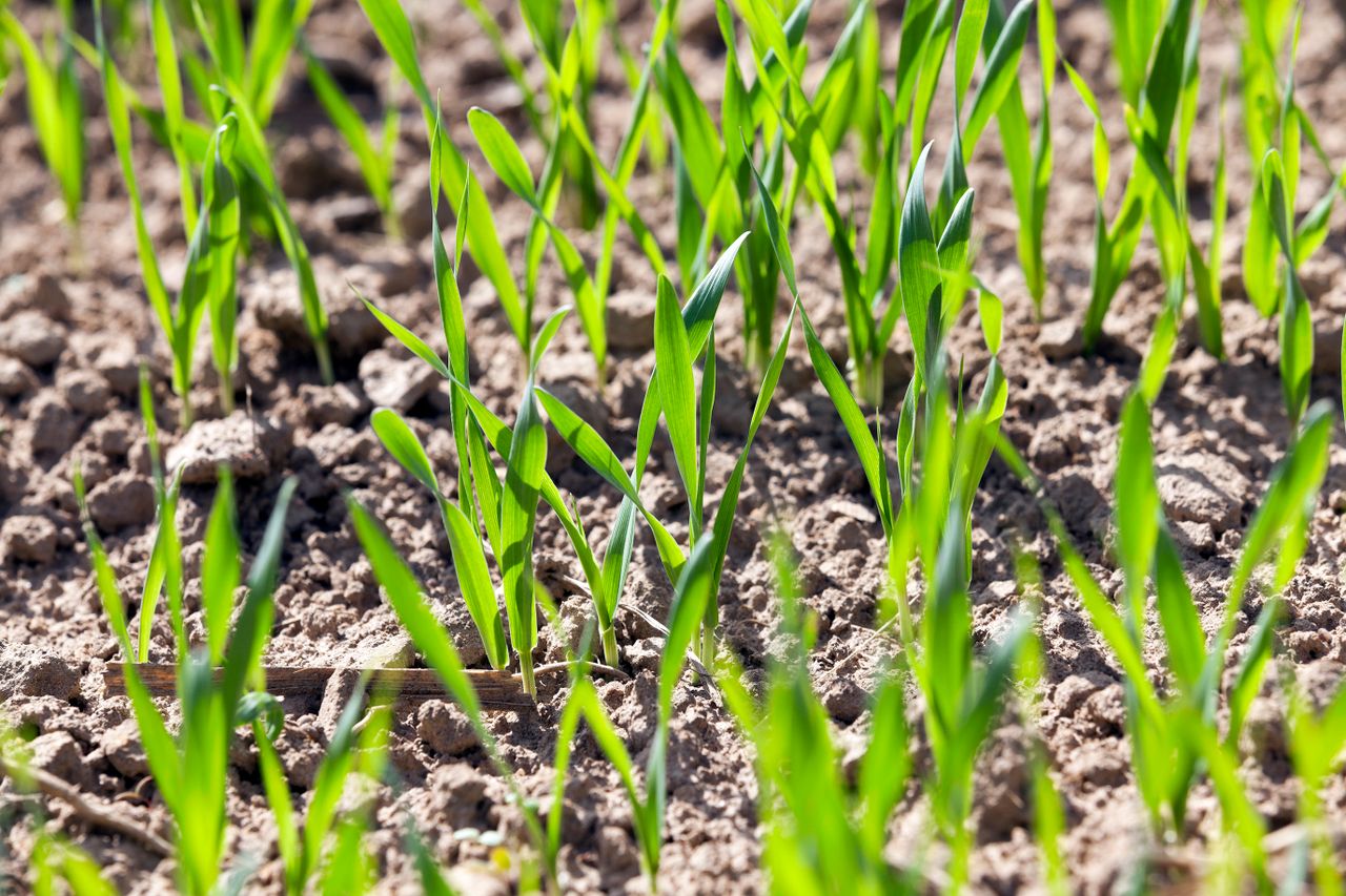 Terra Range Series: A practical solution to reduce nitrogen levels