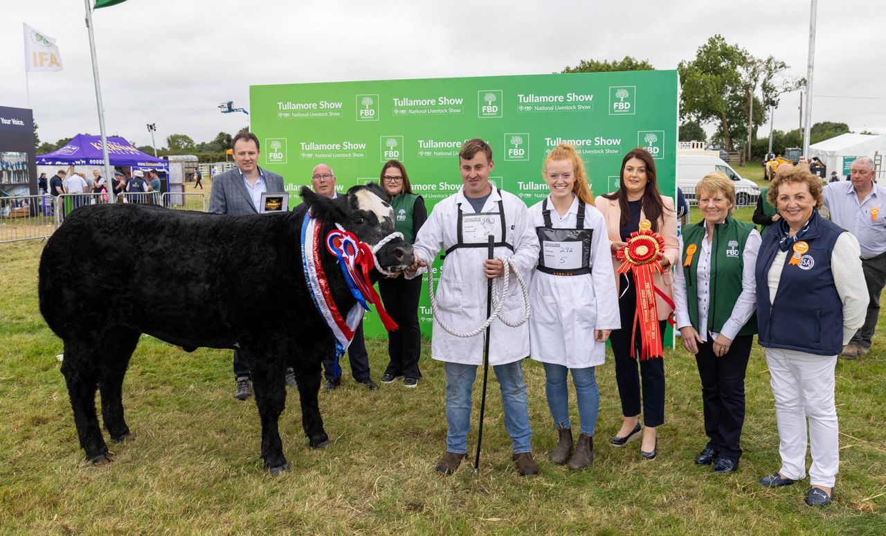 Gallery: Parade of Champions at Tullamore Show 2024