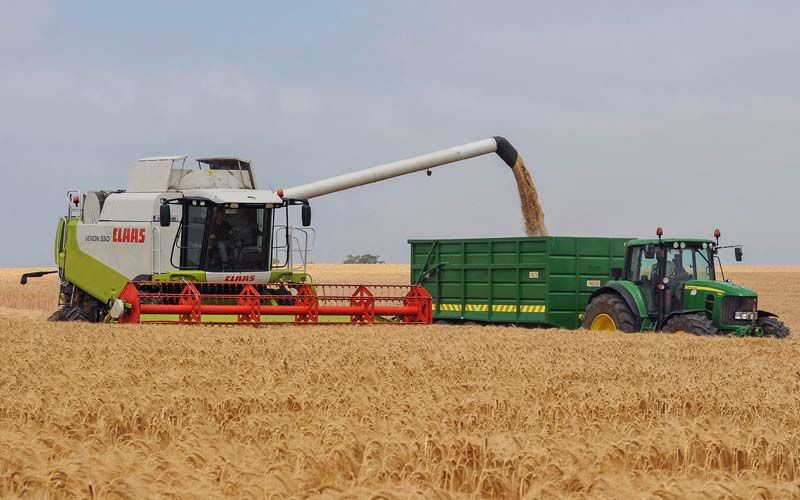It's been a bumper harvest but growers will struggle financially - Teagasc expert