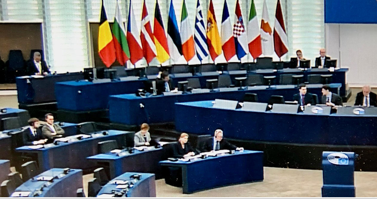 EU Parliament votes in favour of action on 'fertiliser crisis'