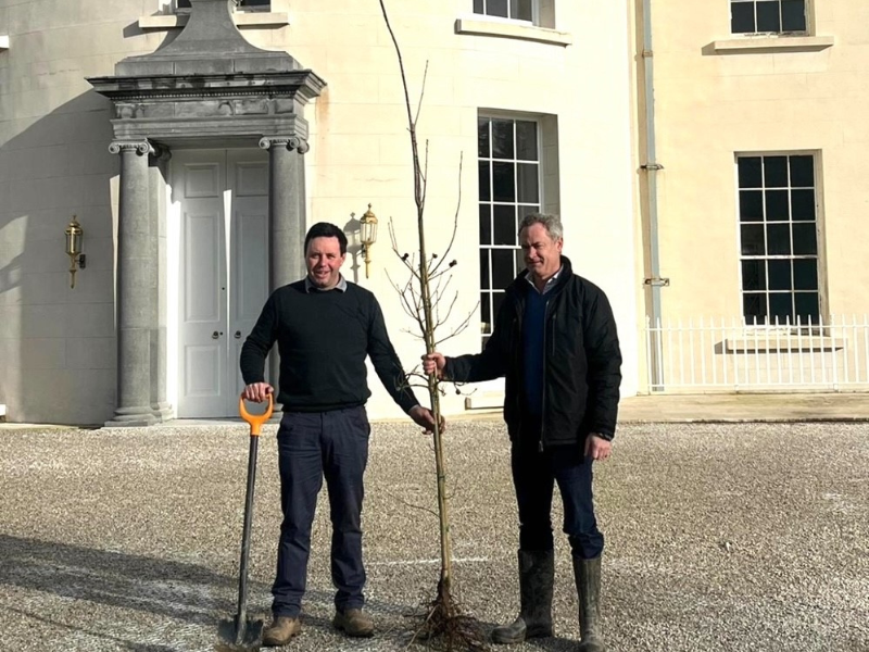 Volunteers donate 35,000 native trees nationwide