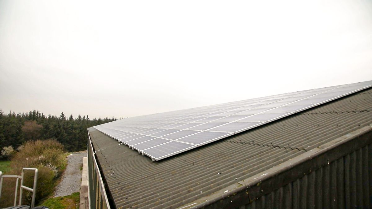 Renewable export scheme 'must work for ordinary people' - SF
