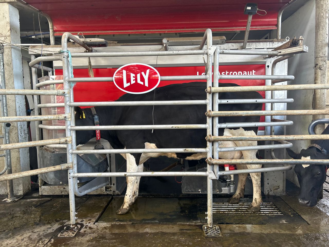 Dairy Focus: Family using robot to set up second dairy unit