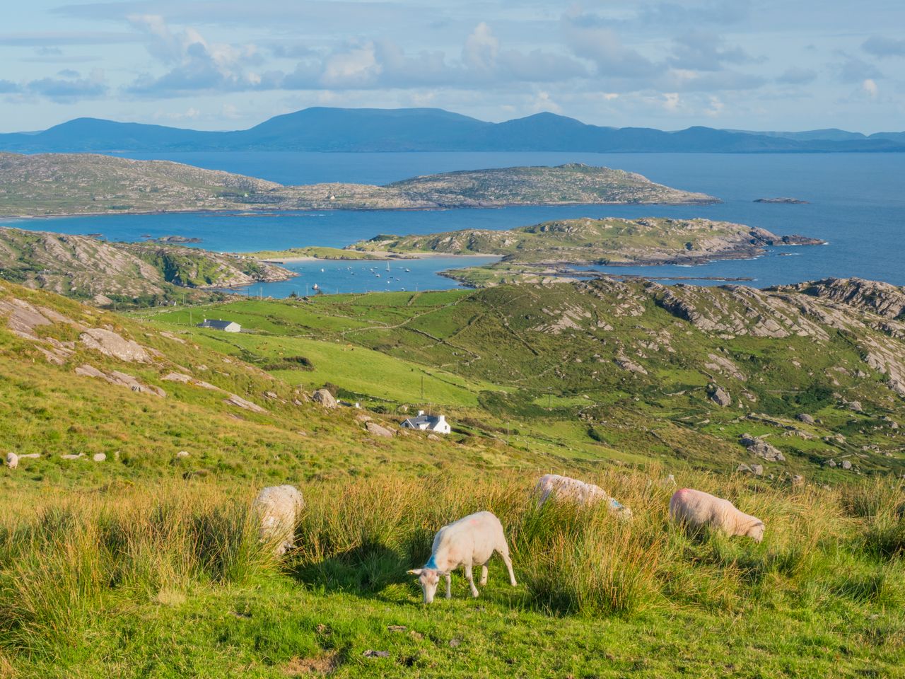 Incorrect land parcels included in over 1k ACRES scorecards
