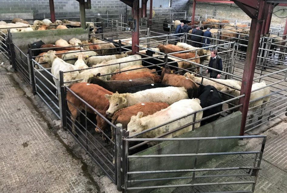 Cattle marts in 2020: Taking a look back at the year of online trading