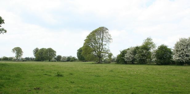 339ac of farm land makes €1.68 million at auction