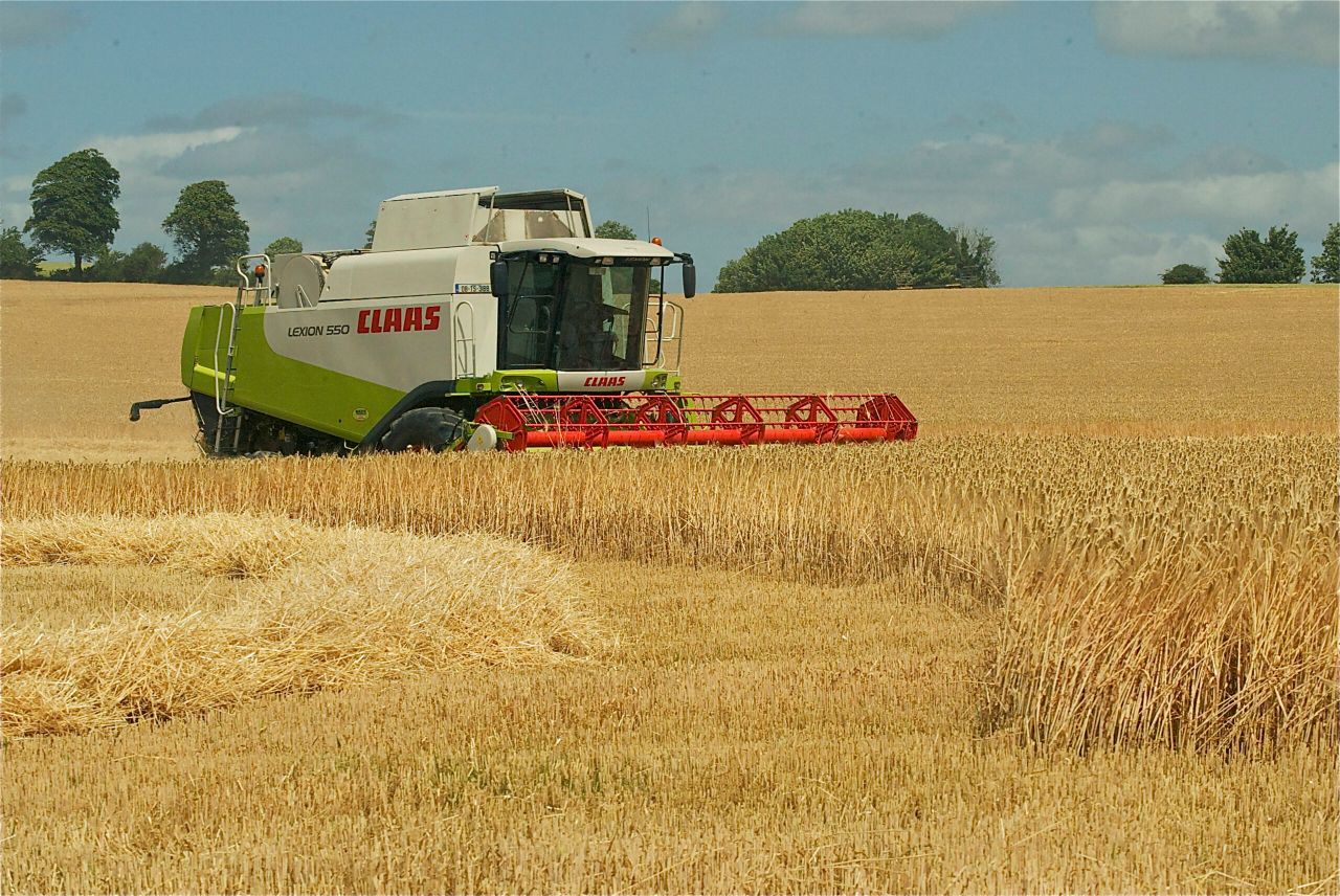 Having problems with skinned malting barley grains? This might help reduce the issue