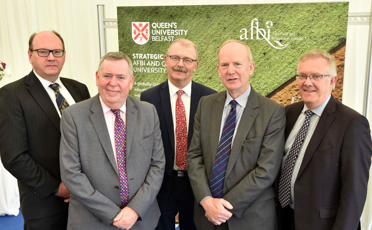 'Globally competitive' NI strategic alliance launched