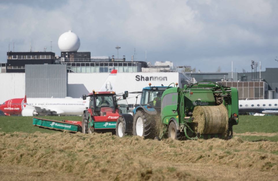 Silage operation at Shannon Airport bears over 1,250 bales