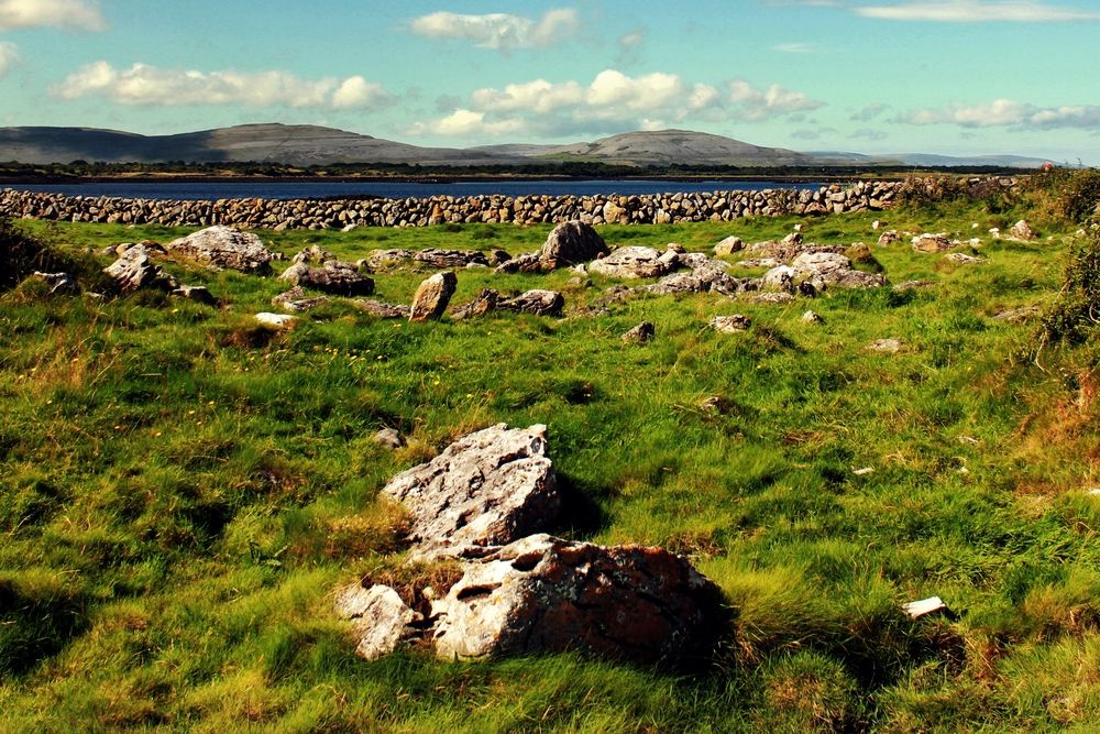 IFA welcomes increased payments for island farmers