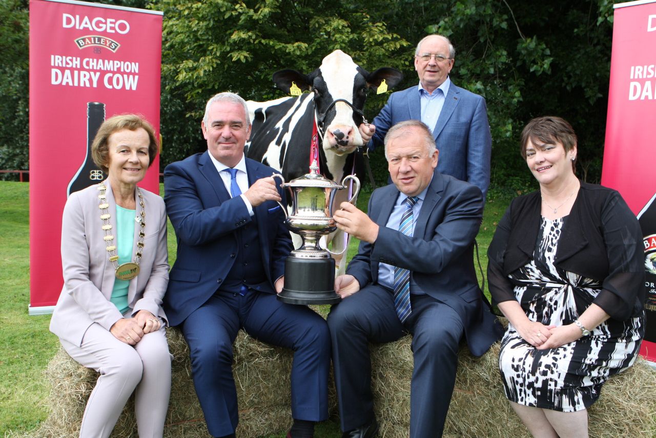 Champion Cow comp seeks 'cream of the crop'