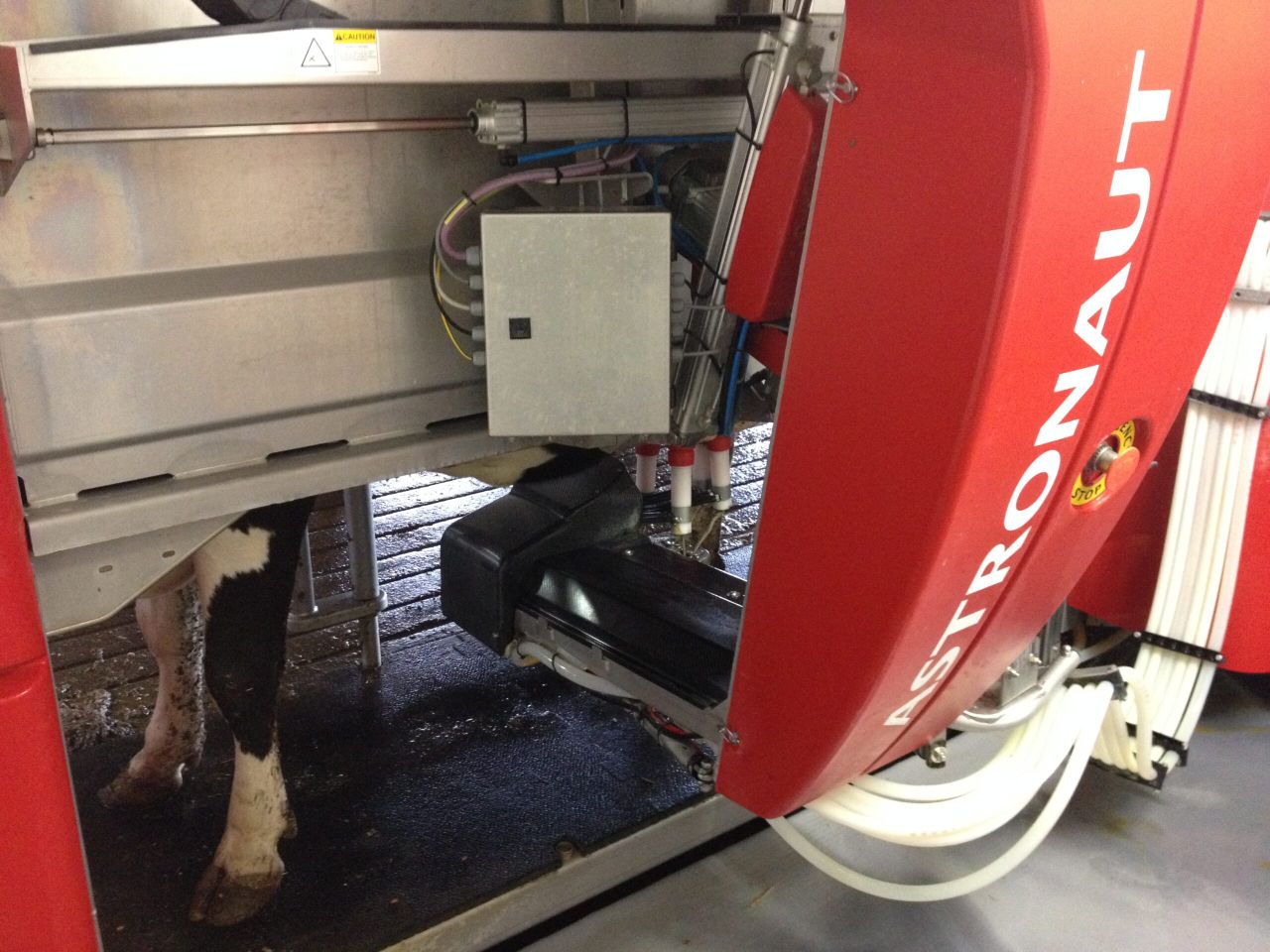 Monaghan farmer: 'Robotic milking is more relaxed'