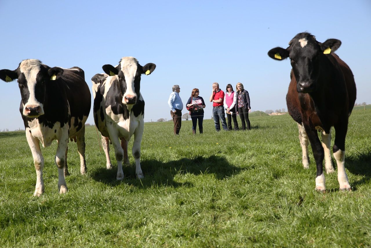 Farm safety must be a top priority for farmers - Ulster Bank