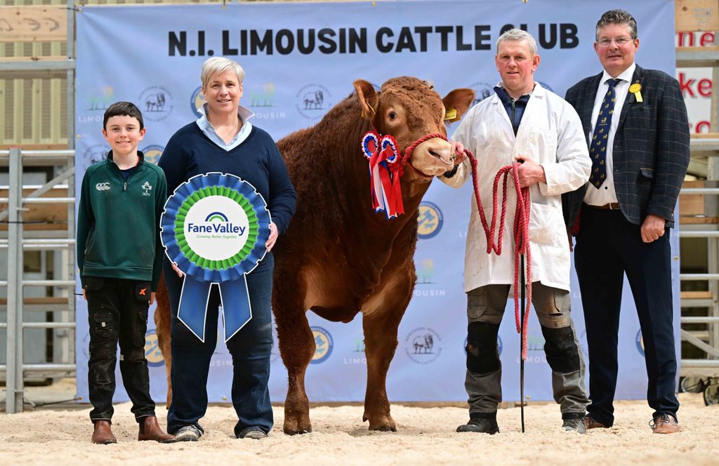 Leanne Workman, Fane Valley, and judge Trevor Shields, congratulate Michael and Kian McKeefry on winning the supreme overall championship with Eniver Undone. Source: Agri-Images