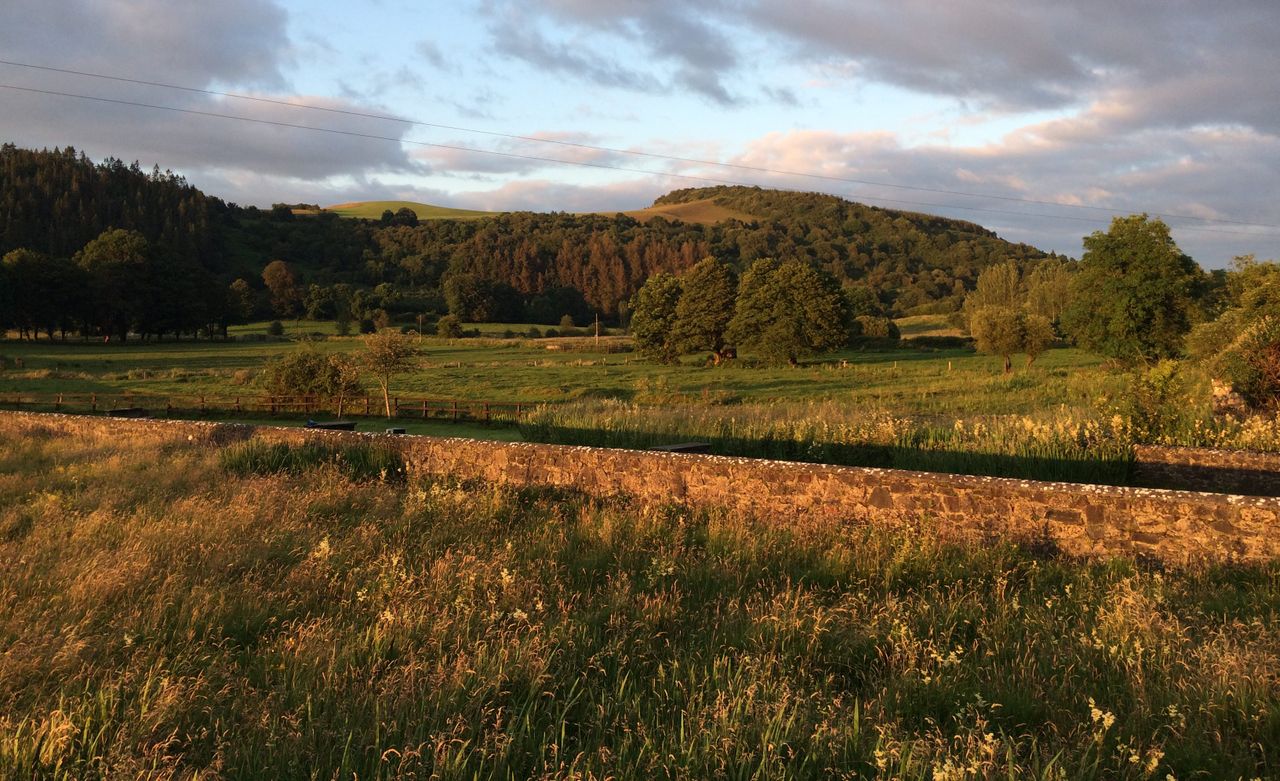IFA welcomes change to ACRES extensive grazing payment