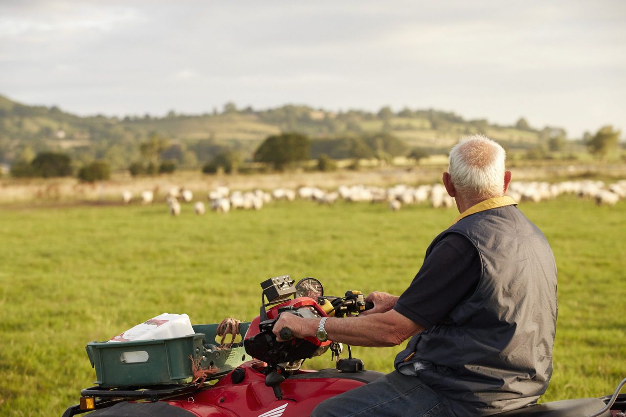 Video - A look back at 2024 and a Happy New Year from Agriland