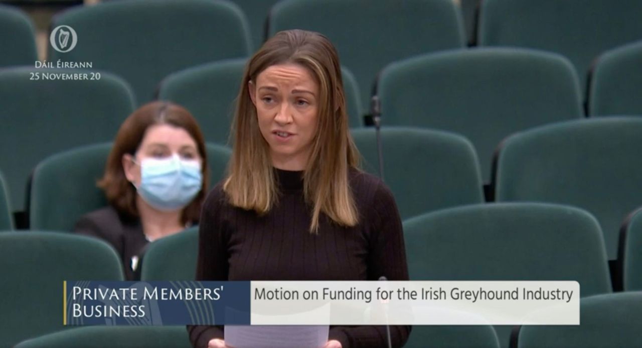 Social Democrats' bill to defund greyhound racing 'falls at the first hurdle'