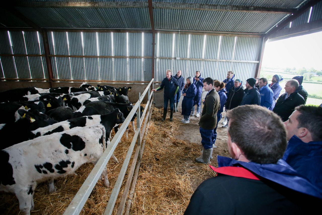 Loughbrickland dairy farmer hosts EU Sustainable Dairy Farm Visit