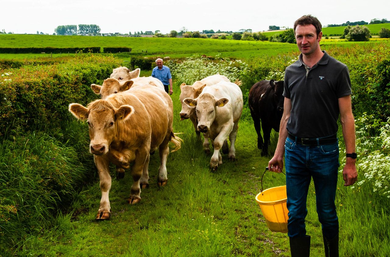 M&S commits to sustainable agriculture through 5-year programme