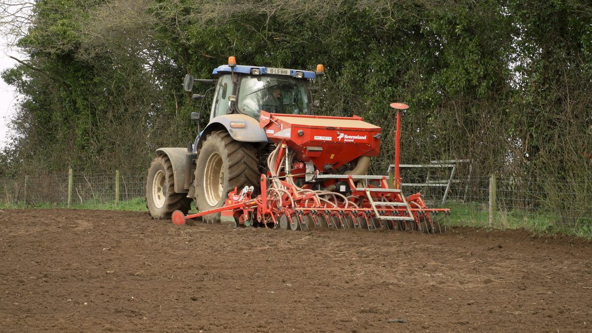 The role of phosphorous and potassium in autumn-sown cereal crops