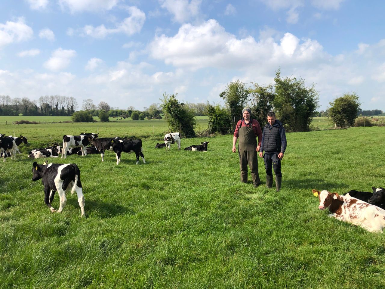 Beef Focus: New entrant beef farmers growing their midlands farm
