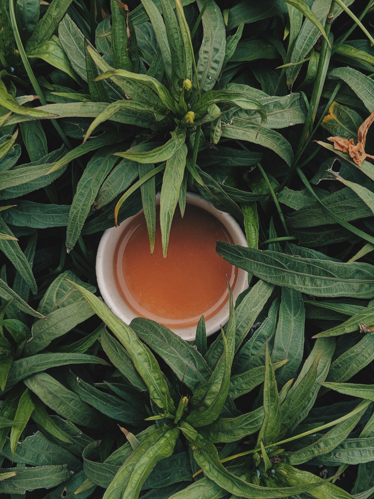 Climate change is no storm in a teacup for producers and  industry