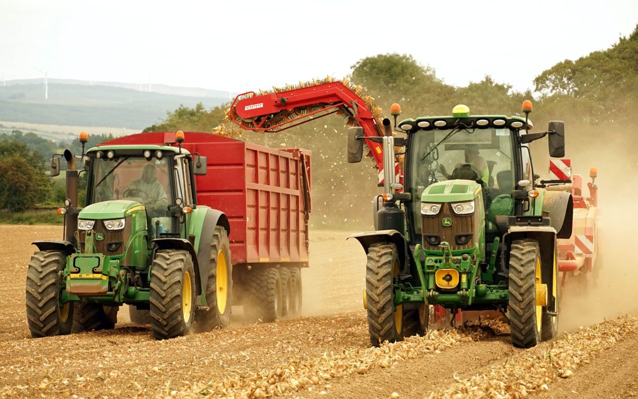 Onions and innovation bring success to Co. Cork grower