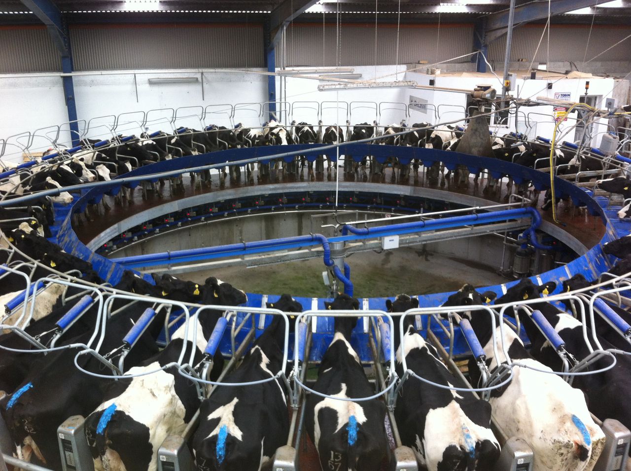 Volac warns against 'unnecessary stockpiling'