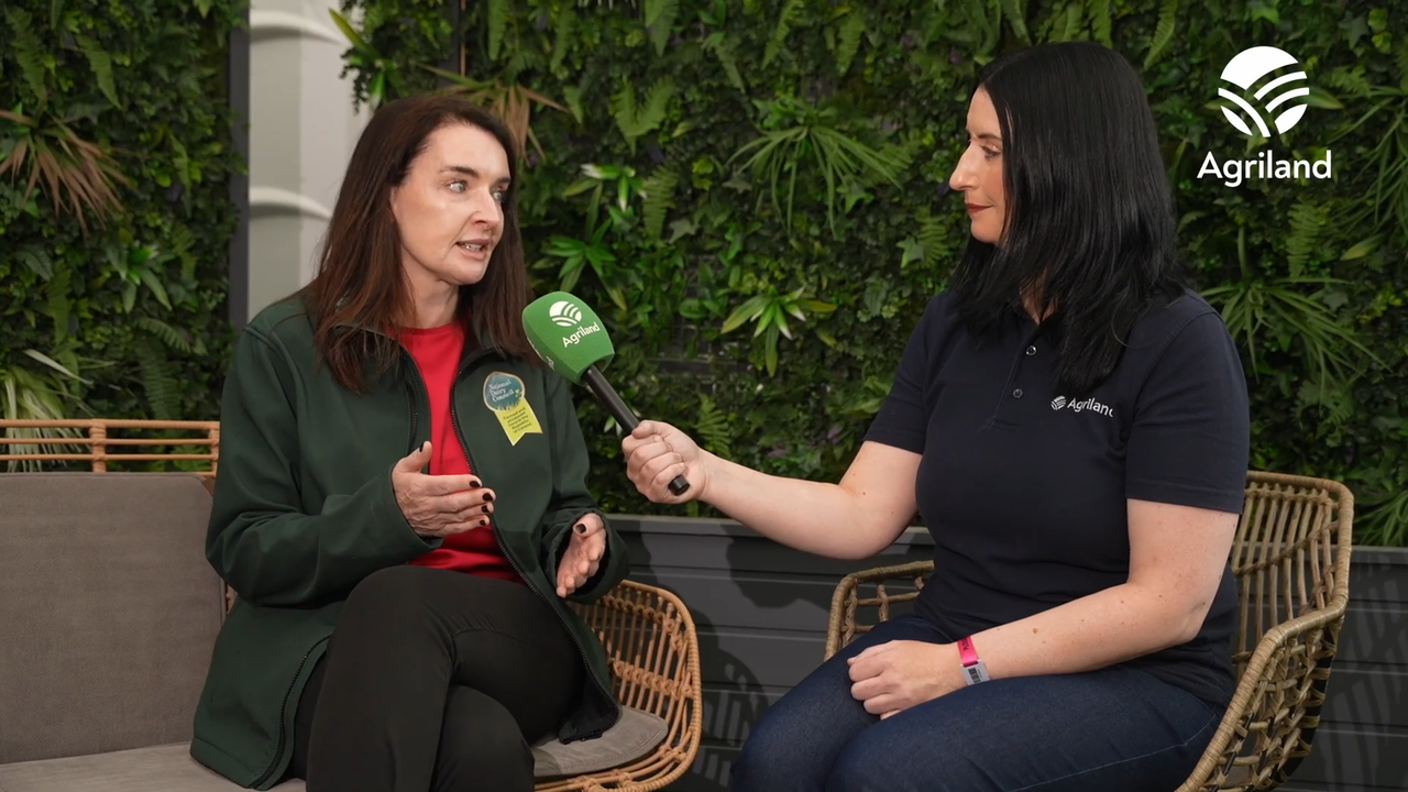National Dairy Council launches new campaign promoting the dairy sector