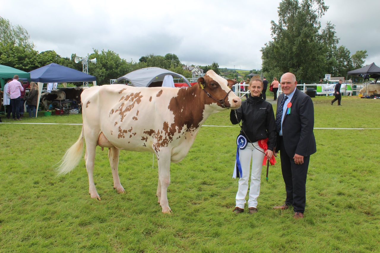 Improved genetics 'delivering across all aspects' of NI dairy sector - breeder