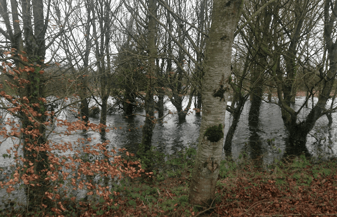 Department fails to reclaim €25,000 from flood-hit farmer