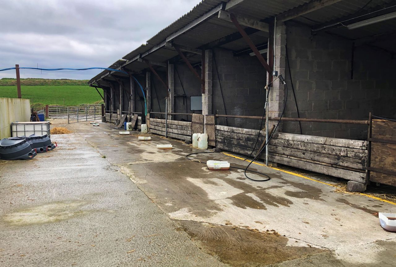 Understanding welfare payments available for farmers affected by Covid-19